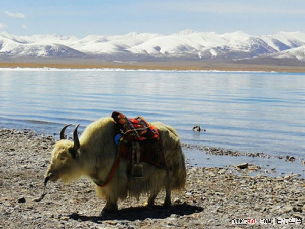 前往西藏 如何应对高原反应(图文) - BIKETO自