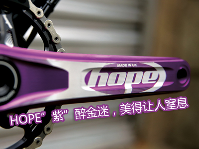 Hope的“紫”醉金迷，美得让人窒息