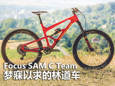 Focus SAM C Team 梦寐以求的林道车