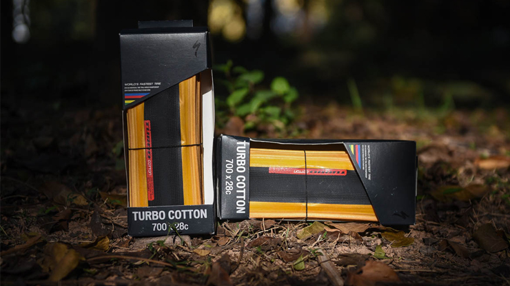 ߹ Specialized Turbo Cotton̥
